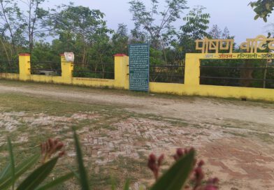 पोषण वाटिका, आदर्श ग्राम पंचायत राज मोतीपुर, प्रखंड -रोसरा, जिला -समस्तीपुर, बिहार।