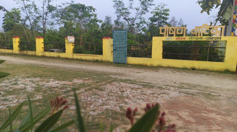 पोषण वाटिका, आदर्श ग्राम पंचायत राज मोतीपुर, प्रखंड -रोसरा, जिला -समस्तीपुर, बिहार।